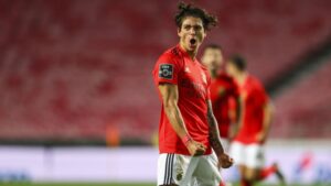 วิธีแทงบอล ผ่านเว็บ